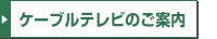 �P�[�u���e���r�̂��ē�